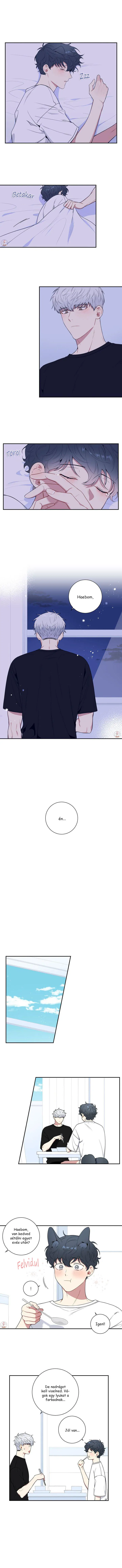 43833571 720 9244 217908