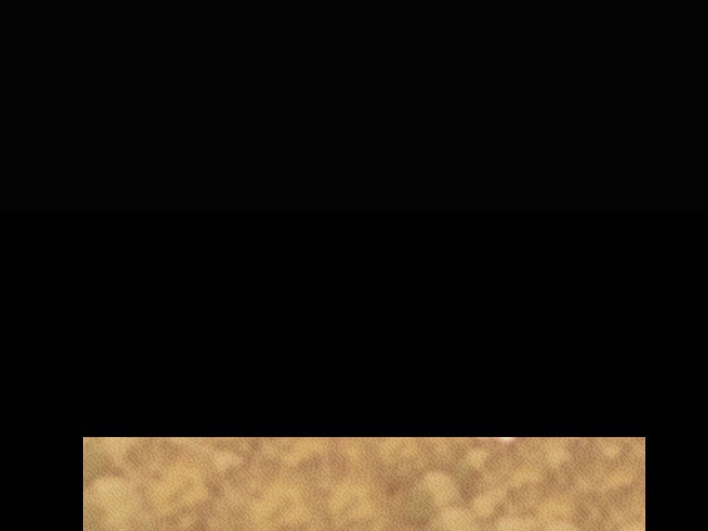 88974076 1440 1080 24974